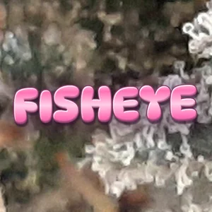 Fisheye Cannabis Strain