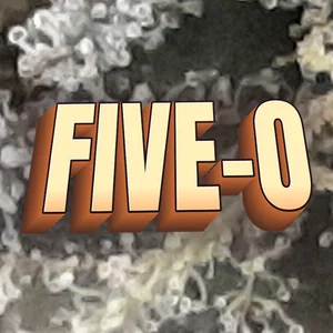 Five-O Cannabis Strain