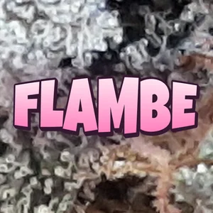 Flambe Cannabis Strain