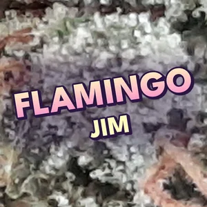 Flamingo Jim Cannabis Strain