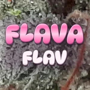 Flava Flav Cannabis Strain