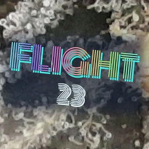 Flight 23 Cannabis Strain