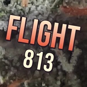 Flight 813 Cannabis Strain