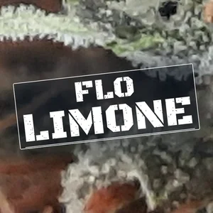 Flo Limone Cannabis Strain