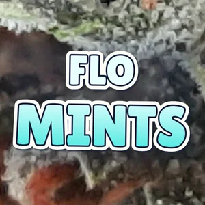Flo Mints Cannabis Strain
