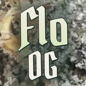 Flo OG Cannabis Strain