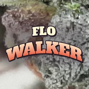 Flo Walker Cannabis Strain