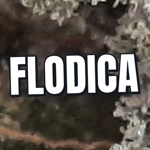 Flodica Cannabis Strain