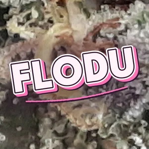Flodu Cannabis Strain