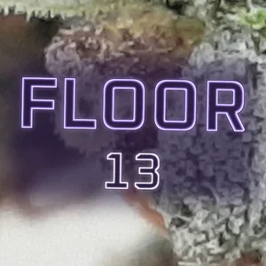 Floor 13 Cannabis Strain