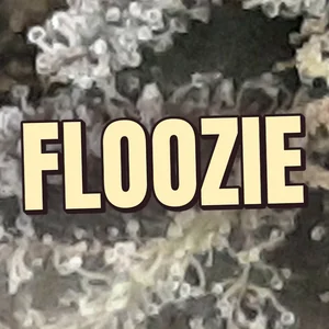 Floozie Cannabis Strain