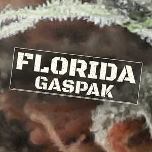 Florida Gaspak Cannabis Strain