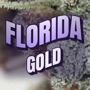 Florida Gold Cannabis Strain
