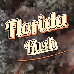 Florida Kush Cannabis Strain