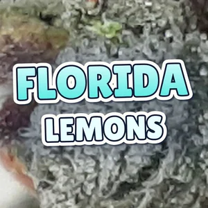 Florida Lemons Cannabis Strain