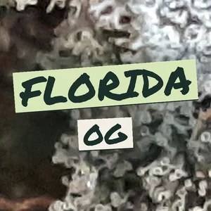 Florida OG Cannabis Strain