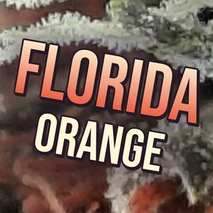 Florida Orange Cannabis Strain