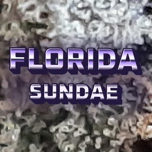 Florida Sundae Cannabis Strain