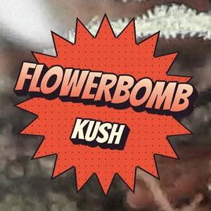 Flowerbomb Kush Cannabis Strain