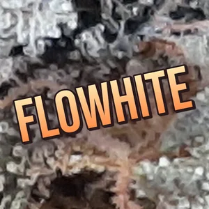FloWhite Cannabis Strain