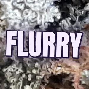 Flurry Cannabis Strain