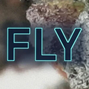 Fly Cannabis Strain