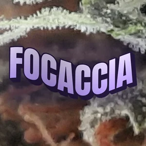 Focaccia Cannabis Strain