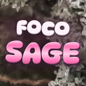 Foco Sage Cannabis Strain