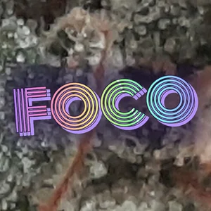 Foco Cannabis Strain