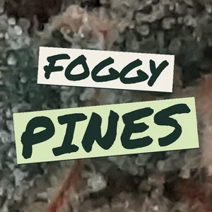 Foggy Pines Cannabis Strain