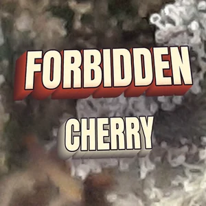 Forbidden Cherry Cannabis Strain