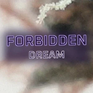 Forbidden Dream Cannabis Strain