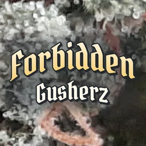 Forbidden Gusherz Cannabis Strain