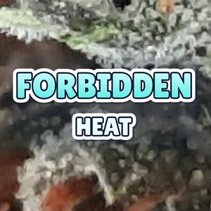 Forbidden Heat Cannabis Strain