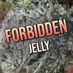 Forbidden Jelly Cannabis Strain