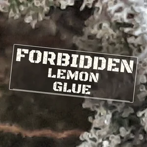 Forbidden Lemon Glue Cannabis Strain