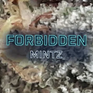 Forbidden Mintz Cannabis Strain