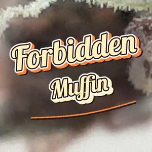 Forbidden Muffin Cannabis Strain