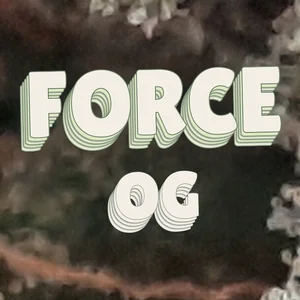 Force OG Cannabis Strain