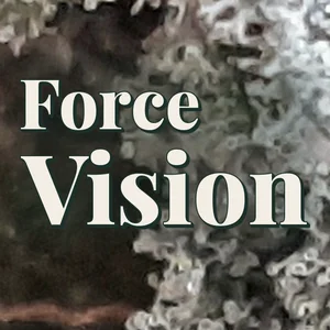 Force Vision Cannabis Strain