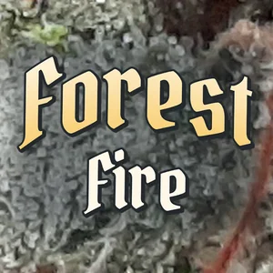 Forest Fire Cannabis Strain