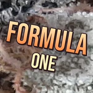 Formula One Cannabis Strain
