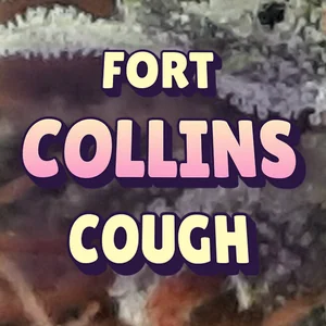 Fort Collins Cough Cannabis Strain