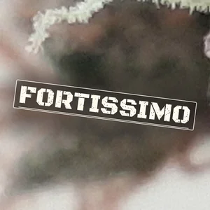 Fortissimo Cannabis Strain