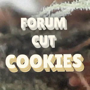 Forum Cut Cookies Cannabis Strain