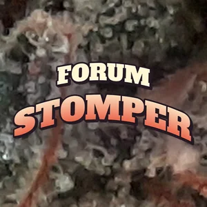 Forum Stomper Cannabis Strain
