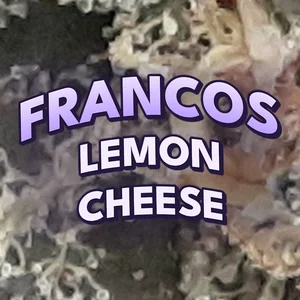 Francos Lemon Cheese Cannabis Strain