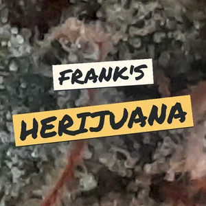 Frank's Herijuana Cannabis Strain