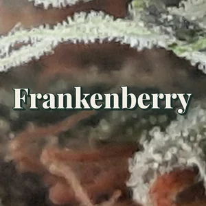 Frankenberry Cannabis Strain