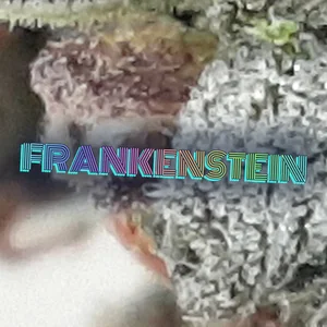 Frankenstein Cannabis Strain